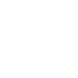 icon_budget.png