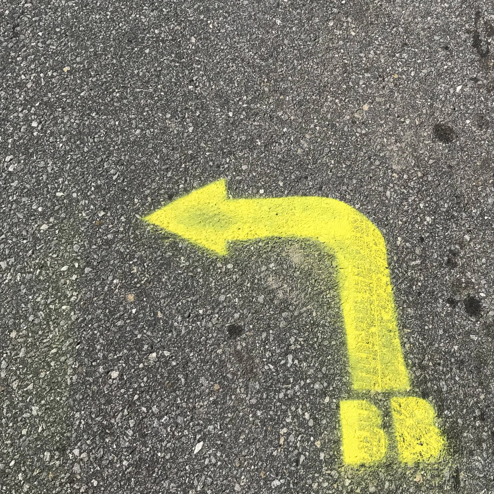 14753281_689028701263045_5775612661303122356_o.jpg