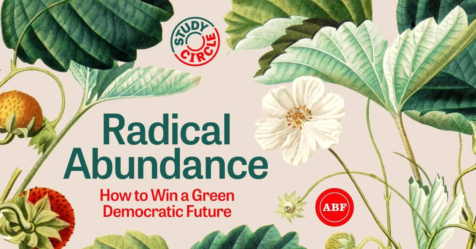Study Circle: Reading Radical Abundance - How To Win a Green Democratic Future