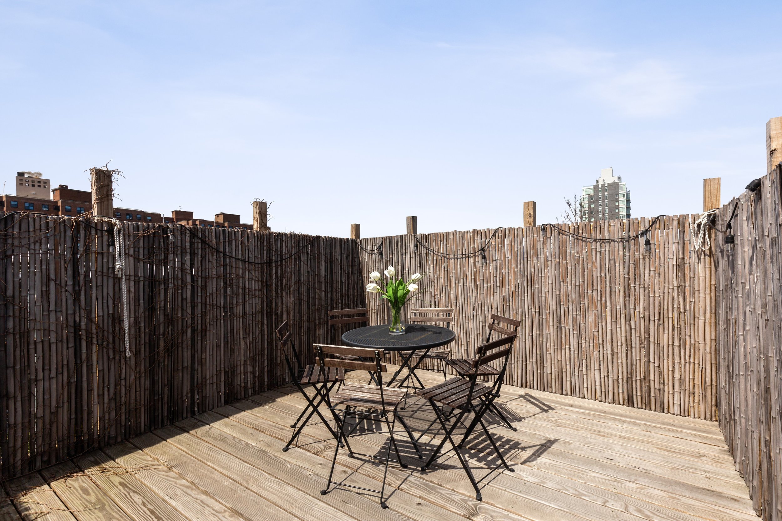 22_151WilloughbyAve_188_RoofDeck_HiRes.jpg