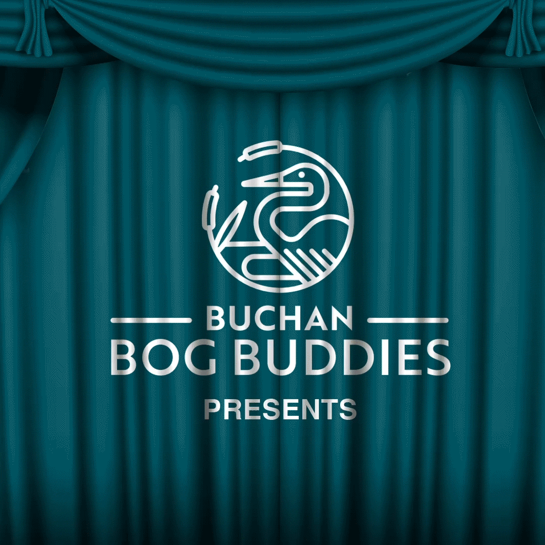 Bog-Buddies-Gif.gif