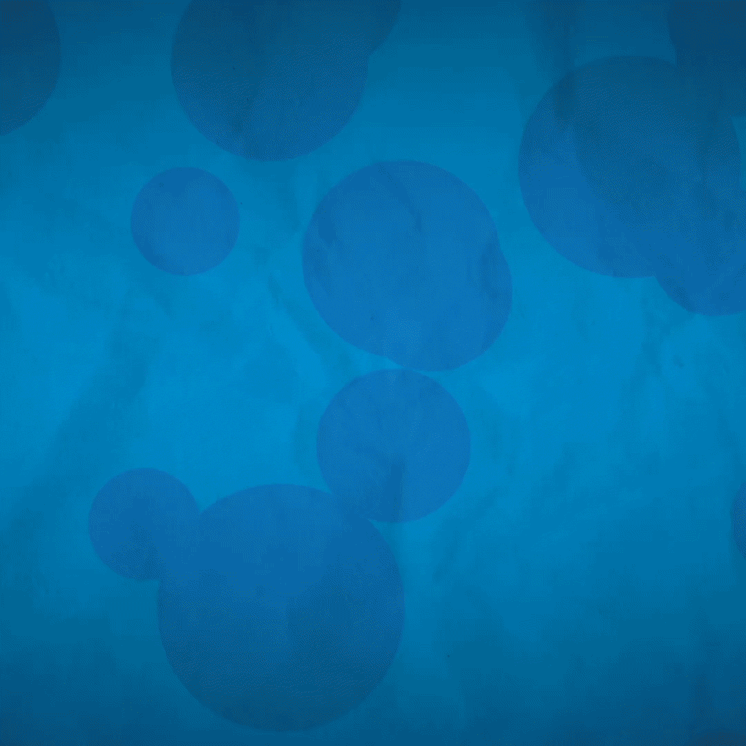 GCC-gif.gif