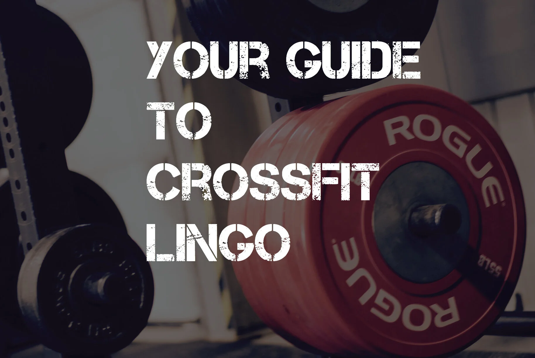 The Ultimate Guide to CrossFit Lingo