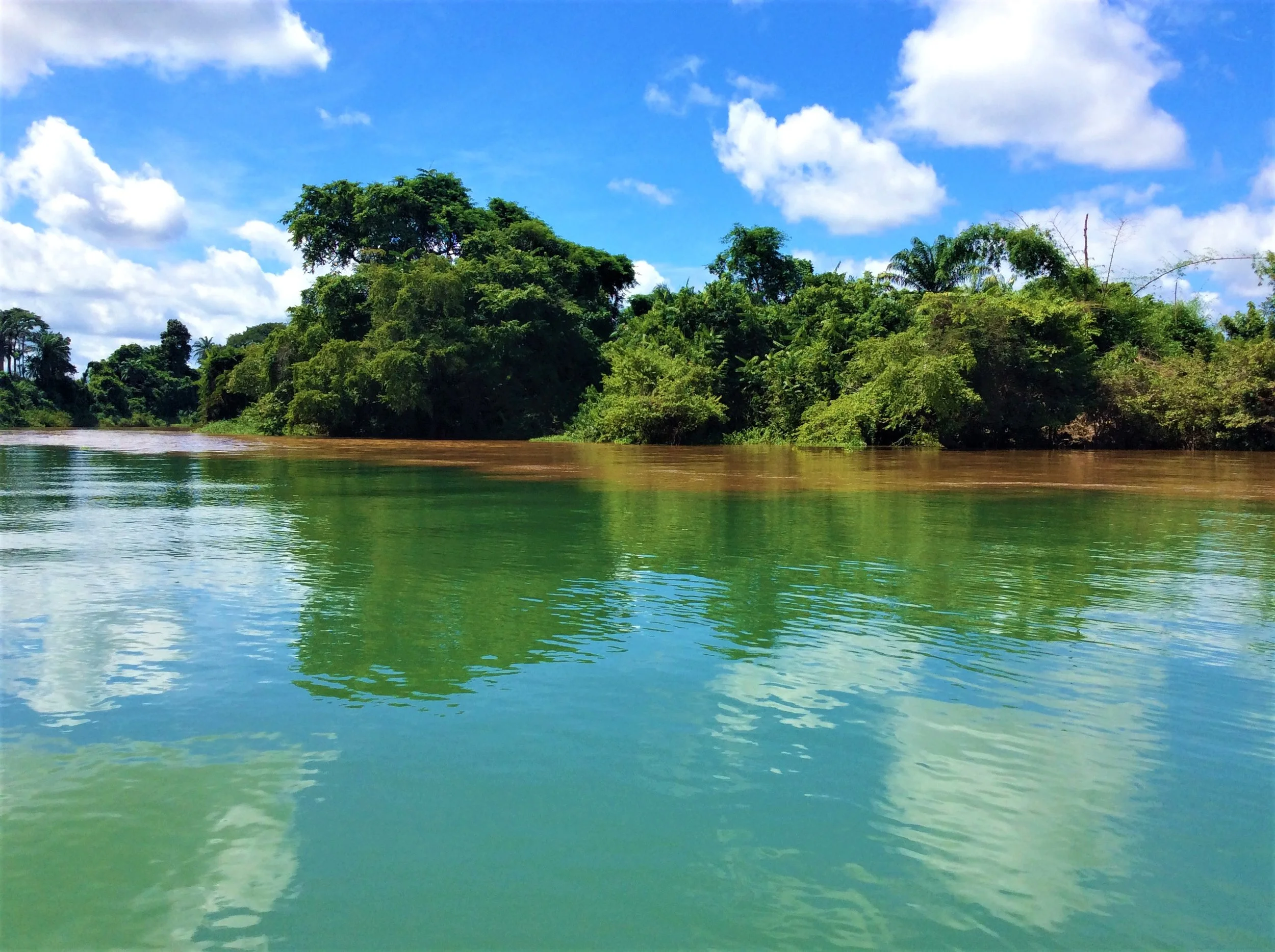 THE WATER CONFLUENCE | The Ajala Bug
