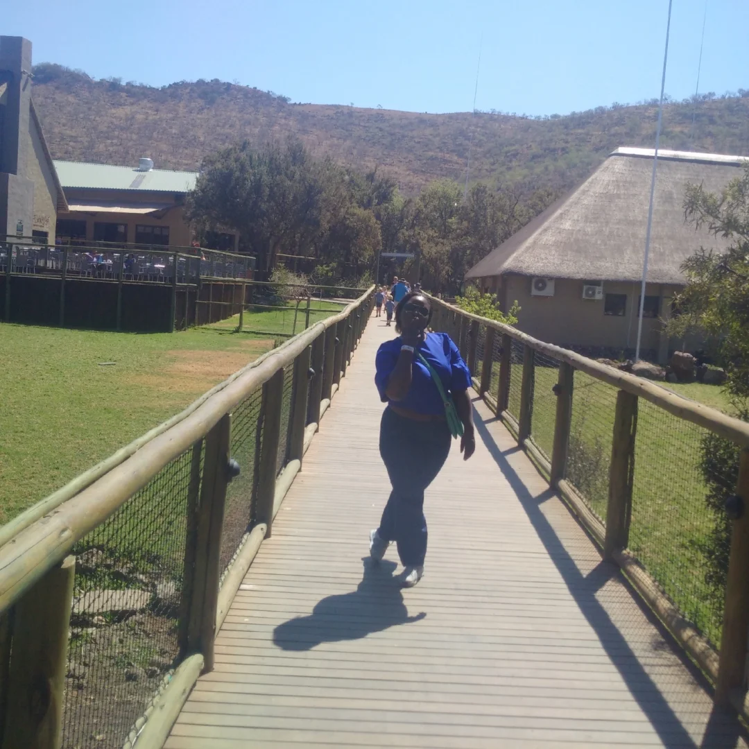 Lion and Safari Park | The Ajala Bug