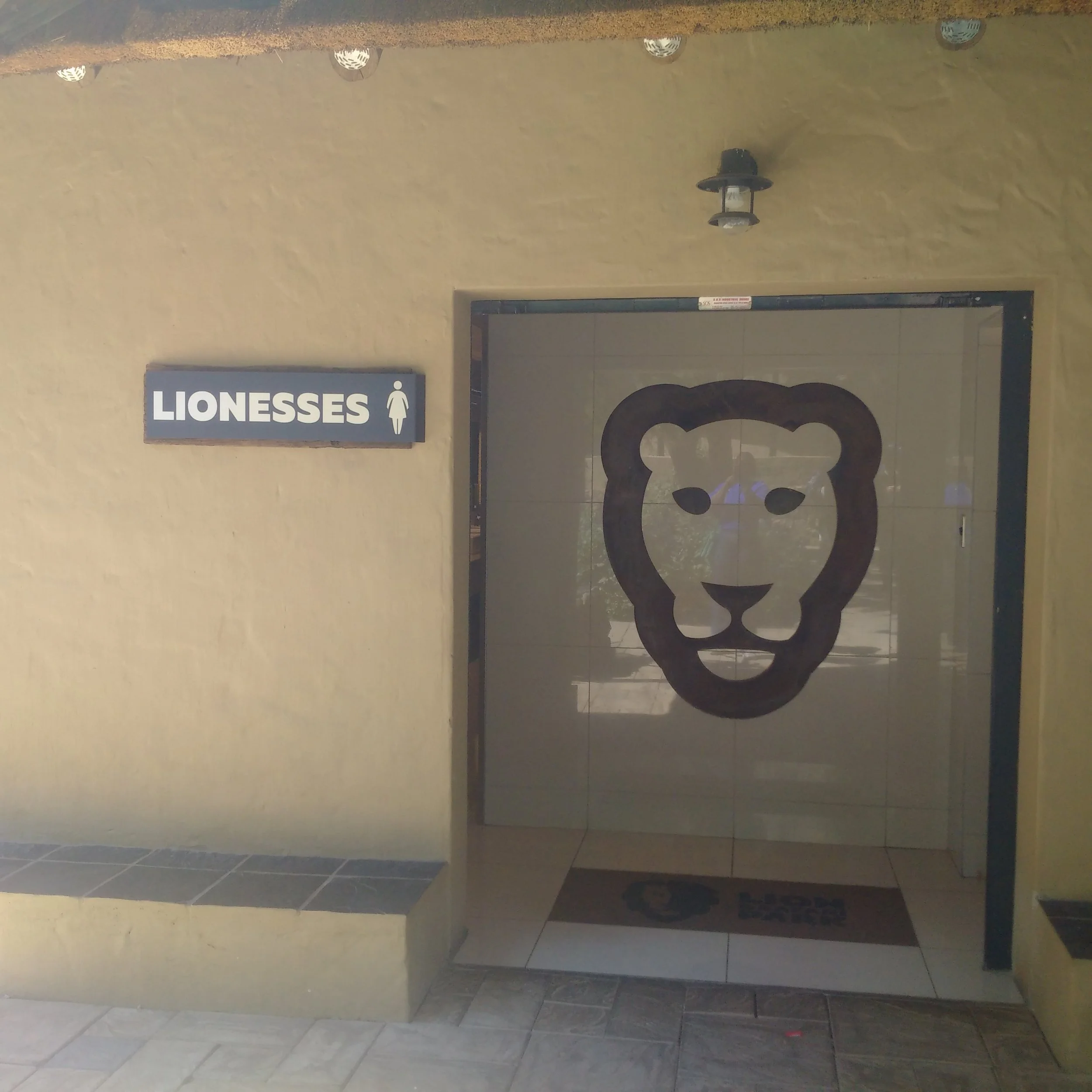 The convenience : His and Hers; Lion and Lionesses