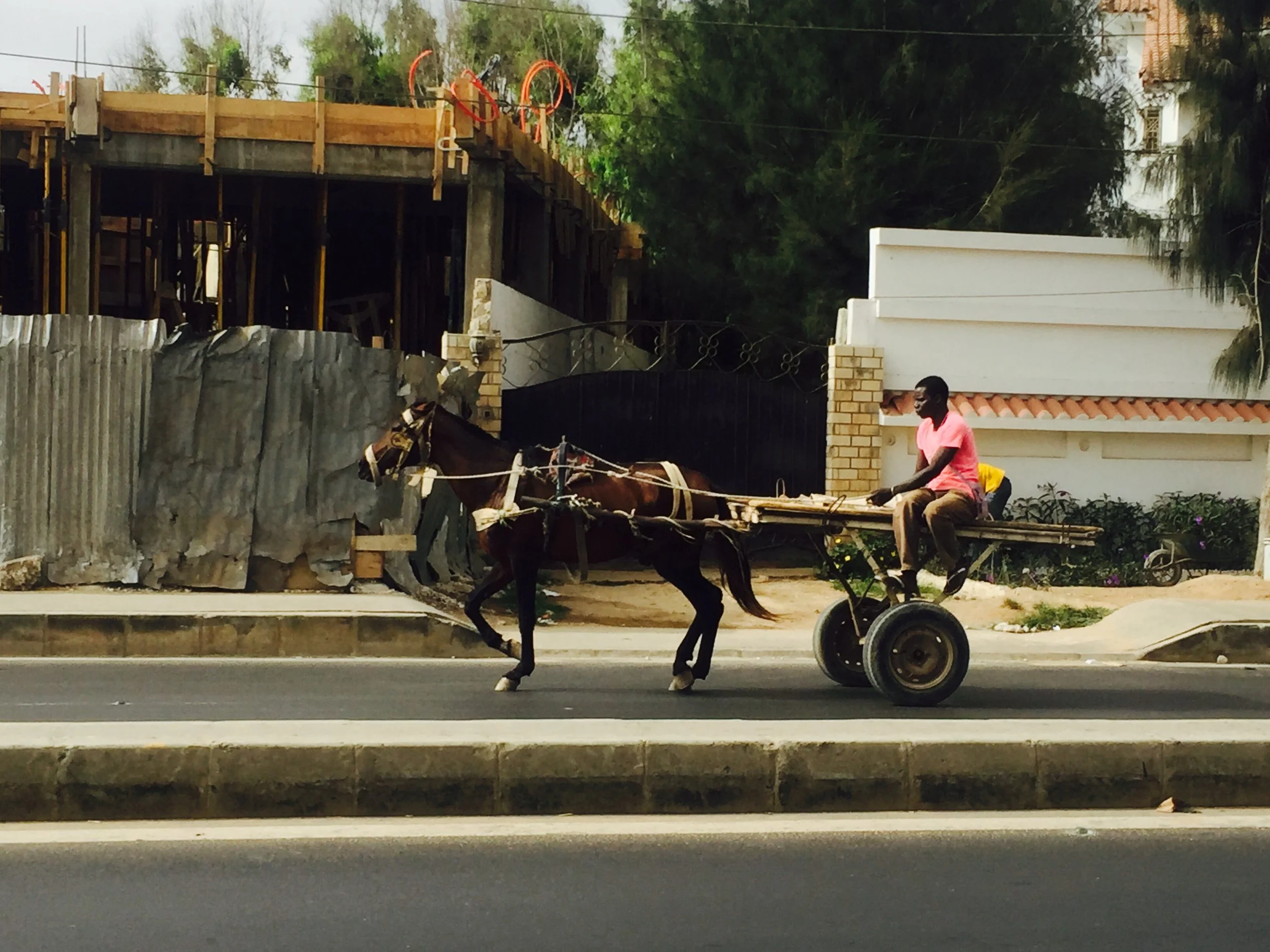 Horse-drawn carts