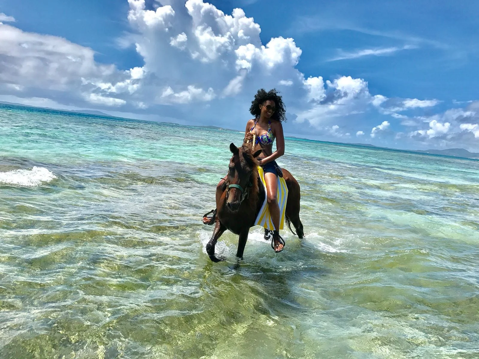 Isla palomino