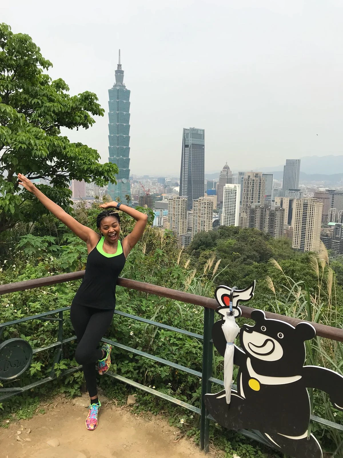Elephant Mountain | The Ajala Bug
