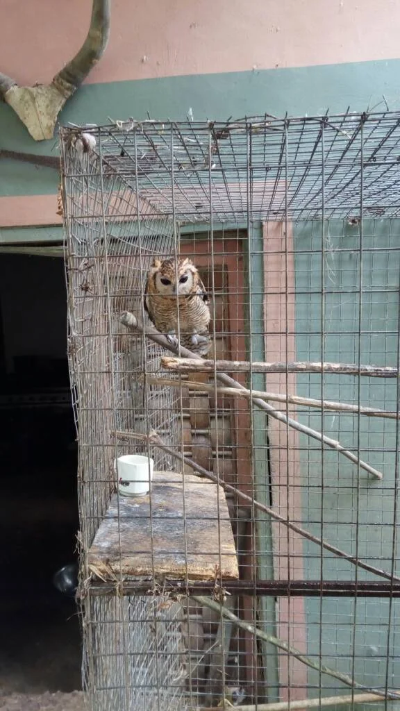 Monkey sanctuary