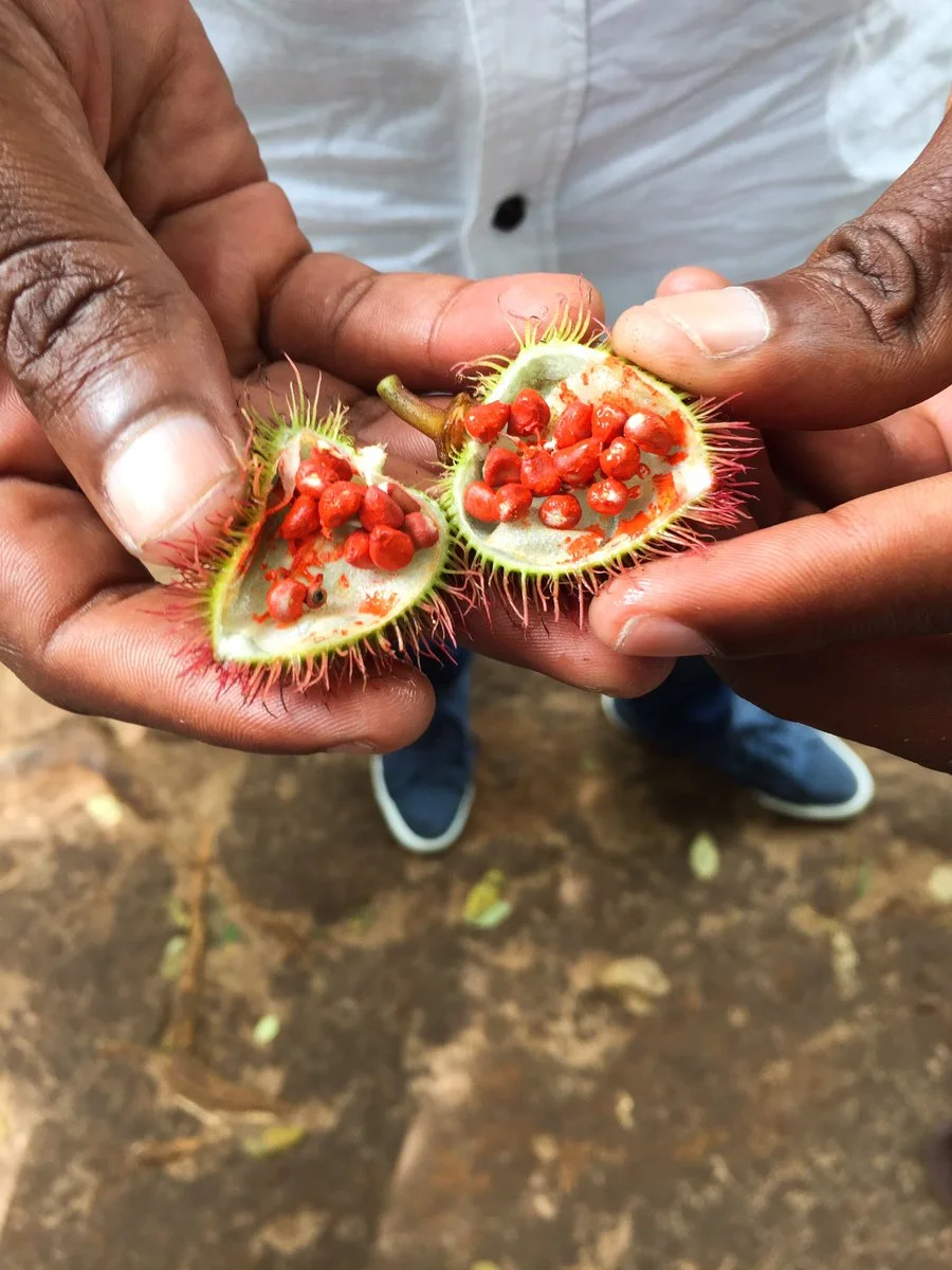 Spices in Zanzibar