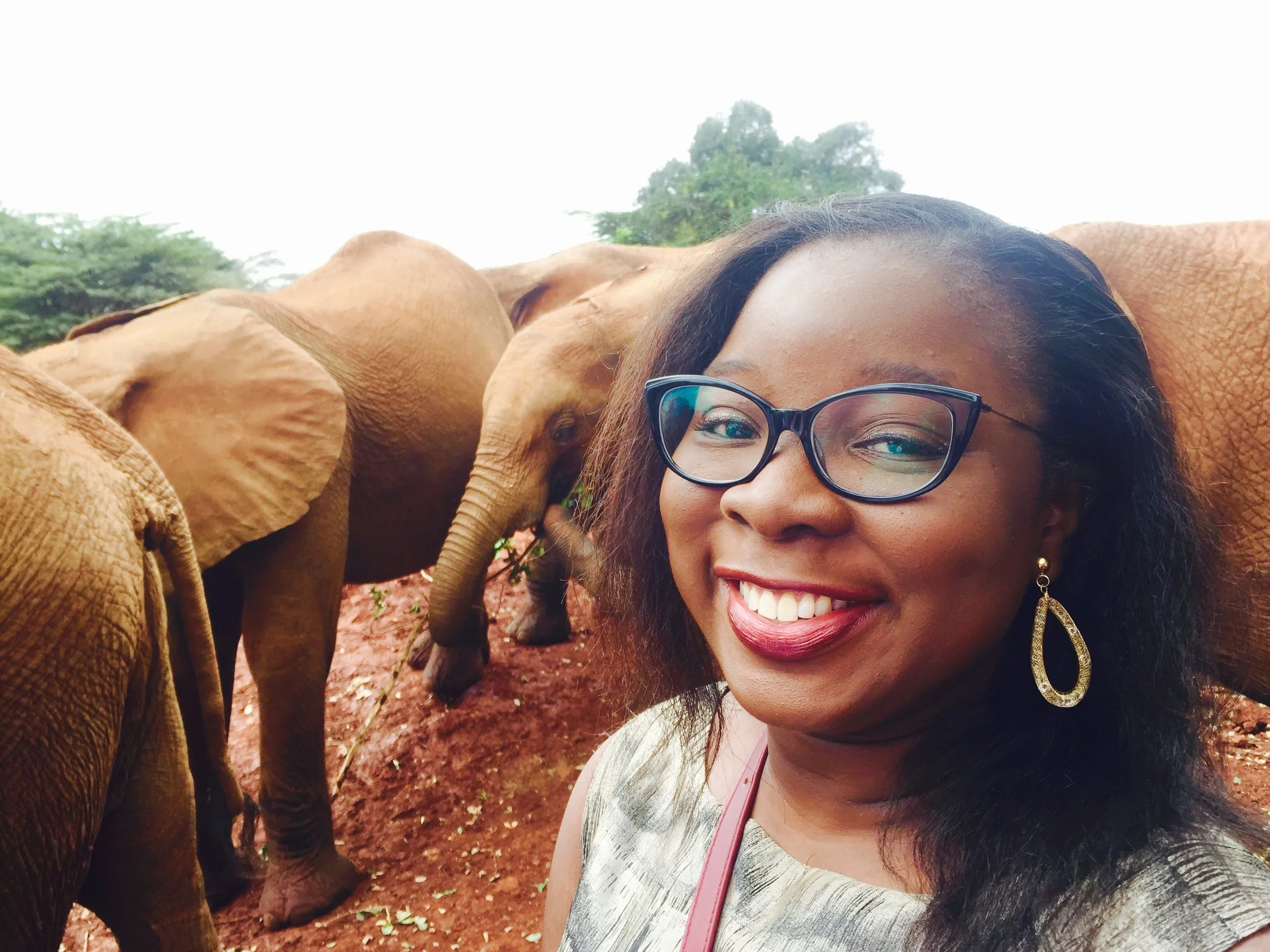 David Sheldrick Wildlife Trust Elephant Orphanage | The Ajala Bug