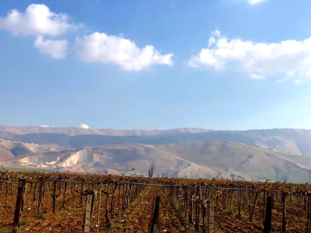 Anti-Lebanon mountain