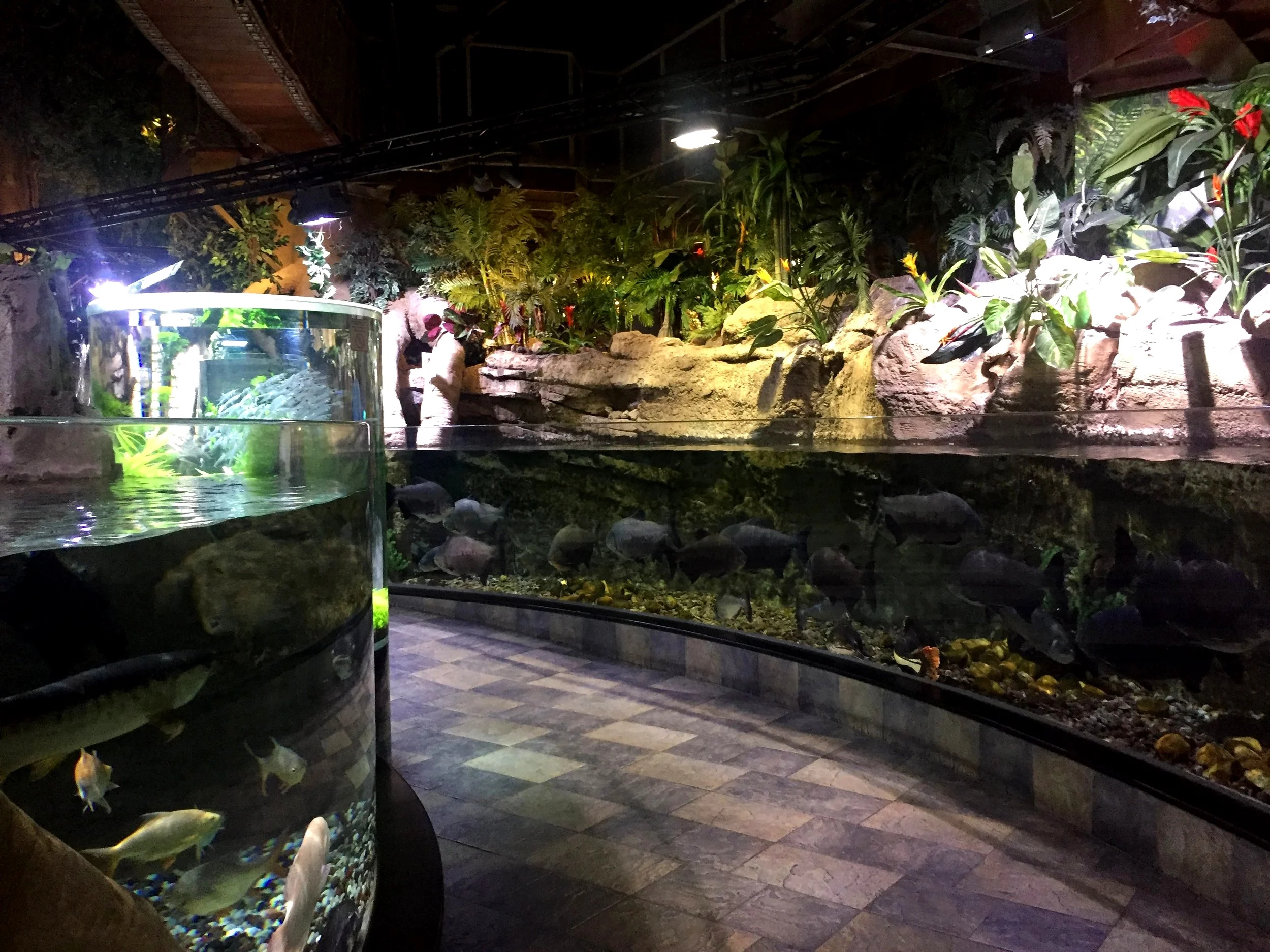 Things to do in Dubai Mall