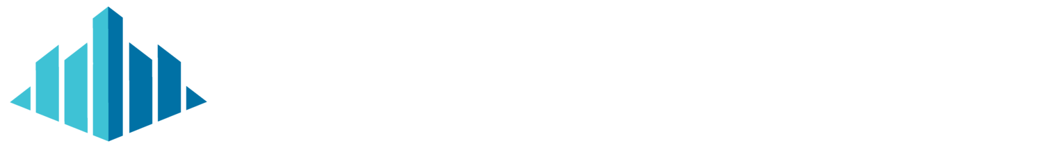 The Society for Construction Solutions