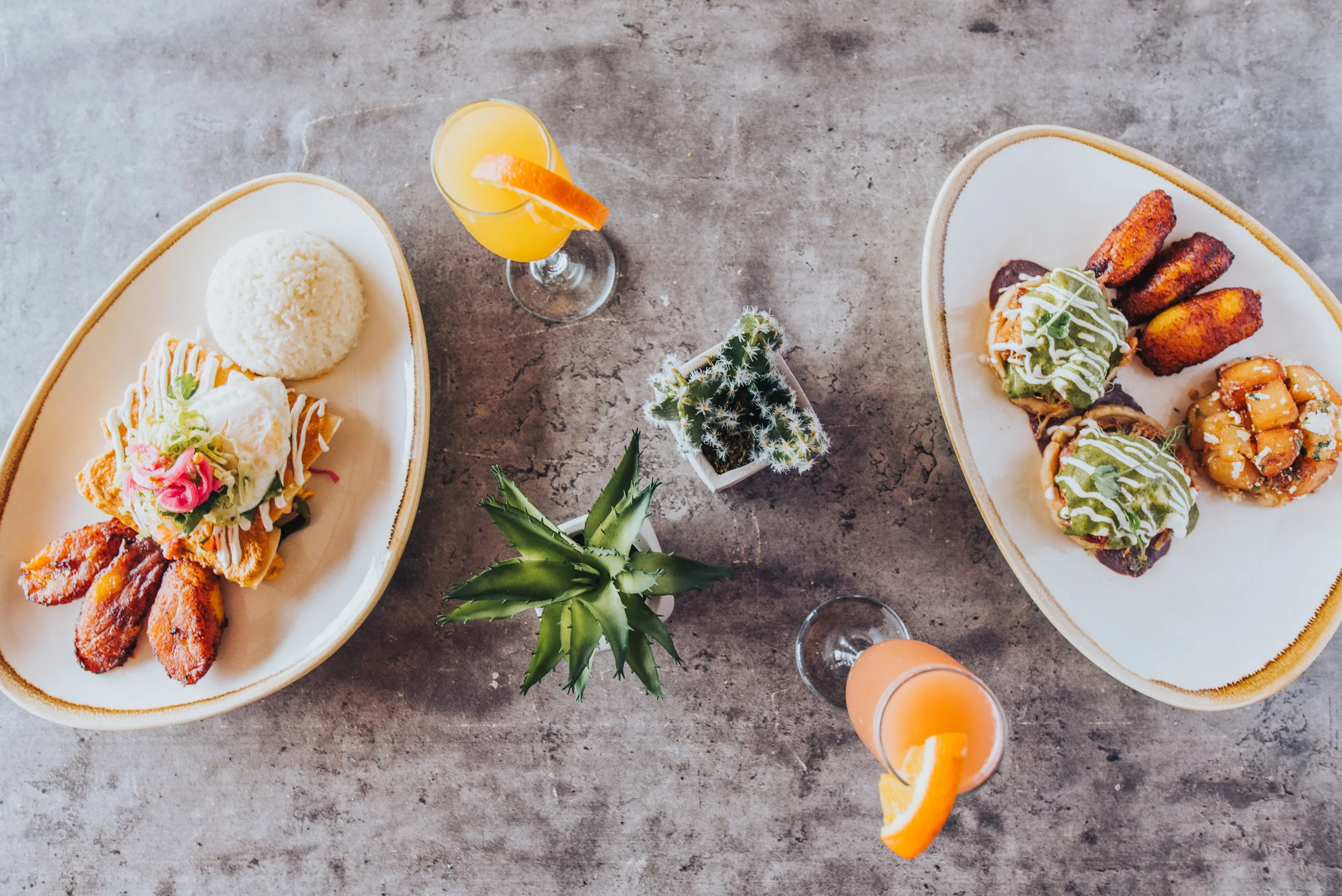 Try Traditional Modern Mexican Food In Tysons Corner La Sandia