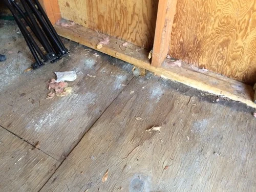 One Room Challenge: Week 3 Shed Makeover Progress 16