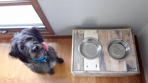 Rustic Dog Bowl Stand Food Storage 5