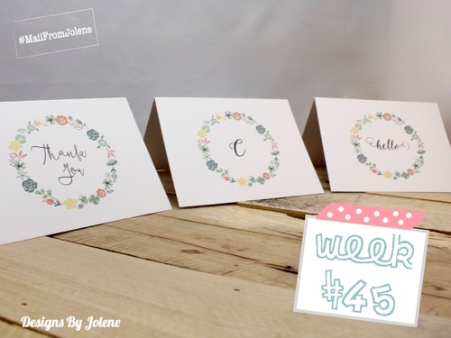 52 Weeks Of Mail- Week 45 Feature Photo | Succulent Note Card Collection