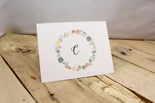52 Weeks Of Mail- Week 45 Feature Photo | Succulent Note Card Collection