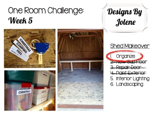 One Room Challenge: Week 5 Shed Makeover Update