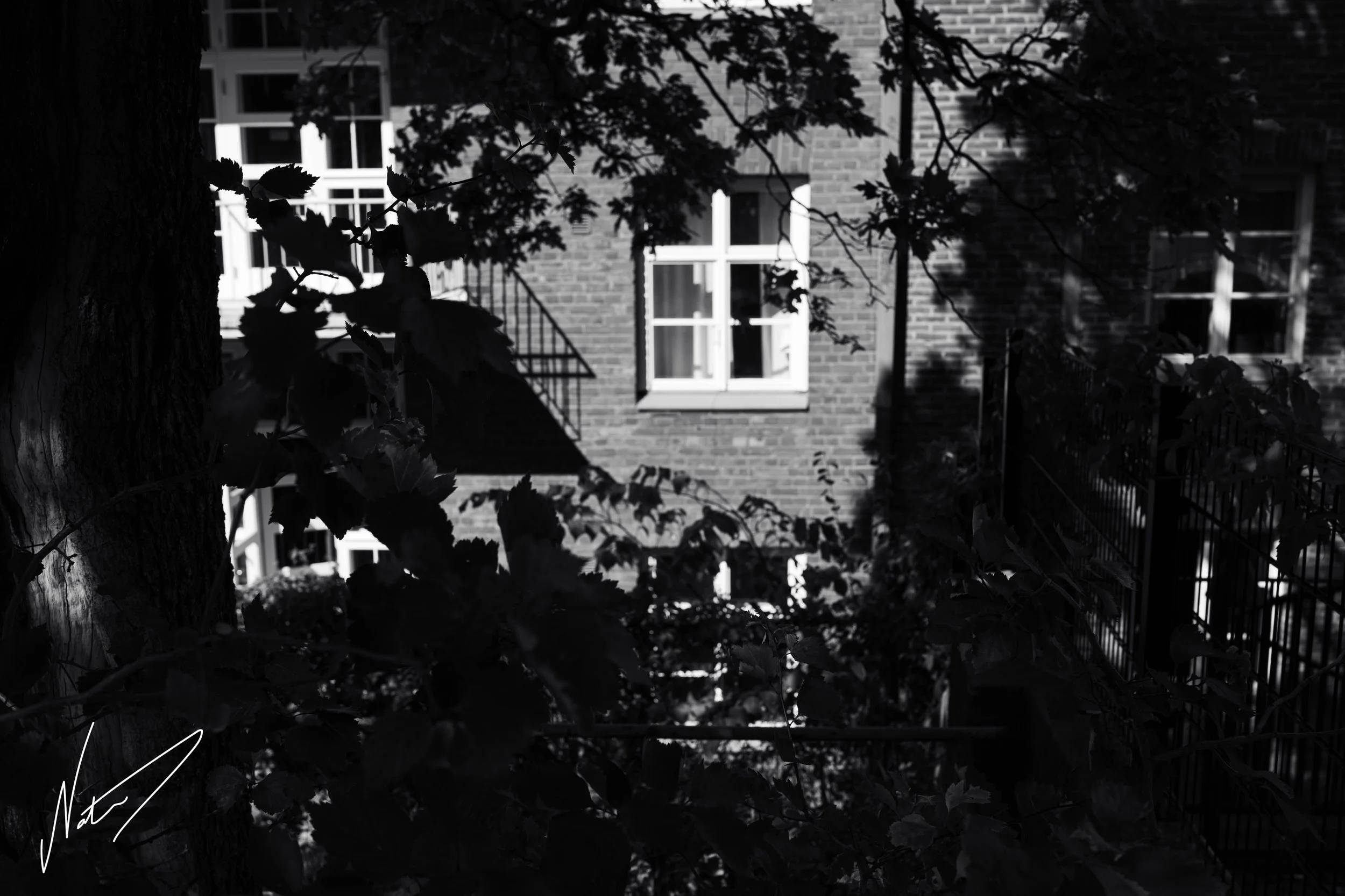 NAA_1682-7_72res.jpg