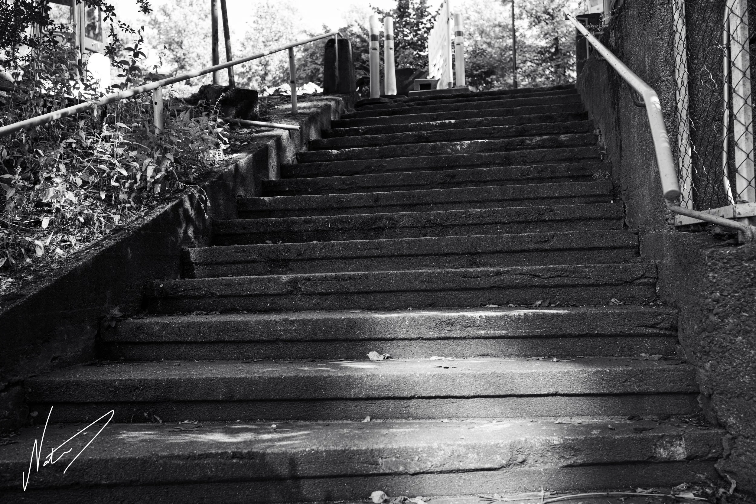 NAA_1735-22_72res.jpg