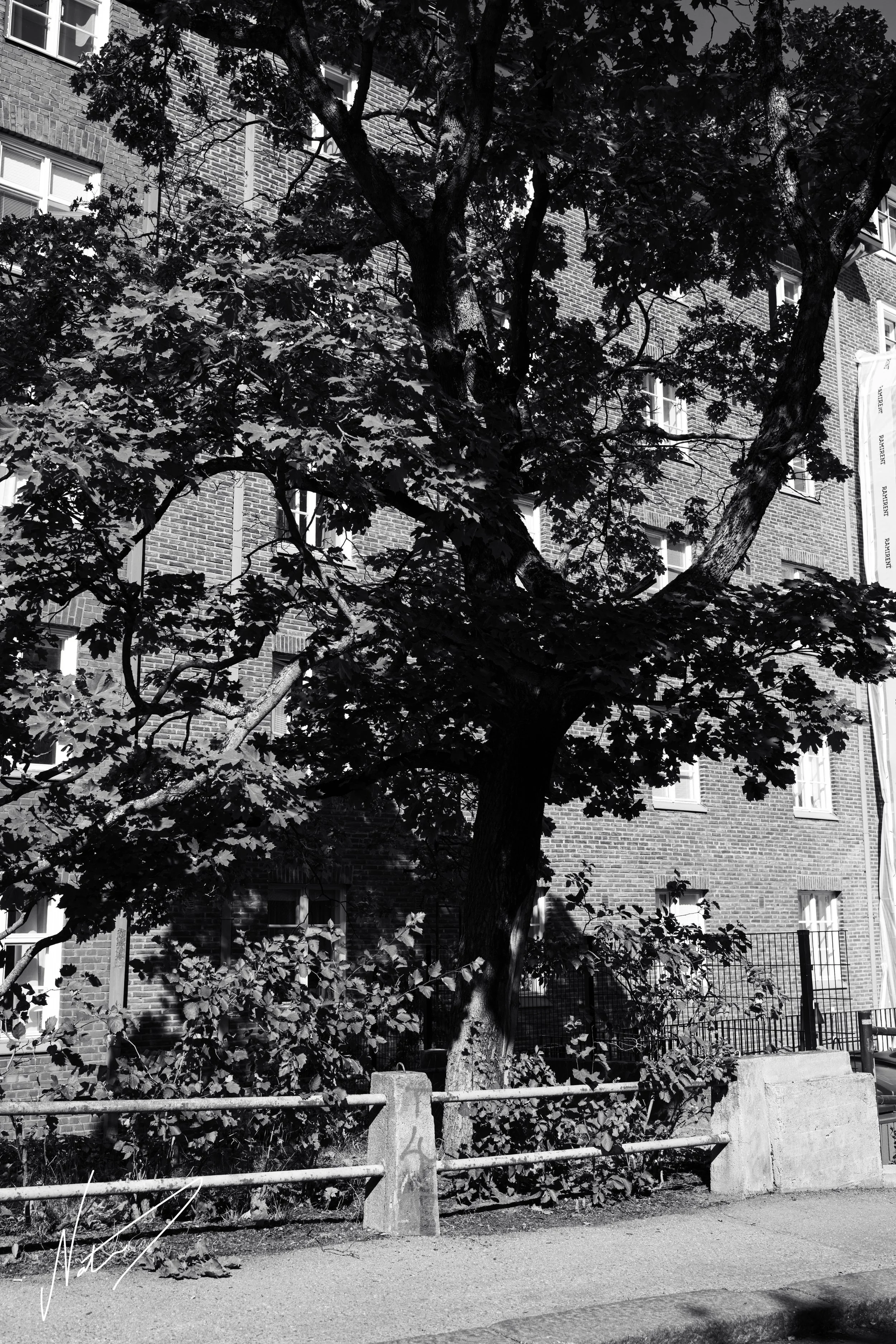 NAA_1687-8_72res.jpg