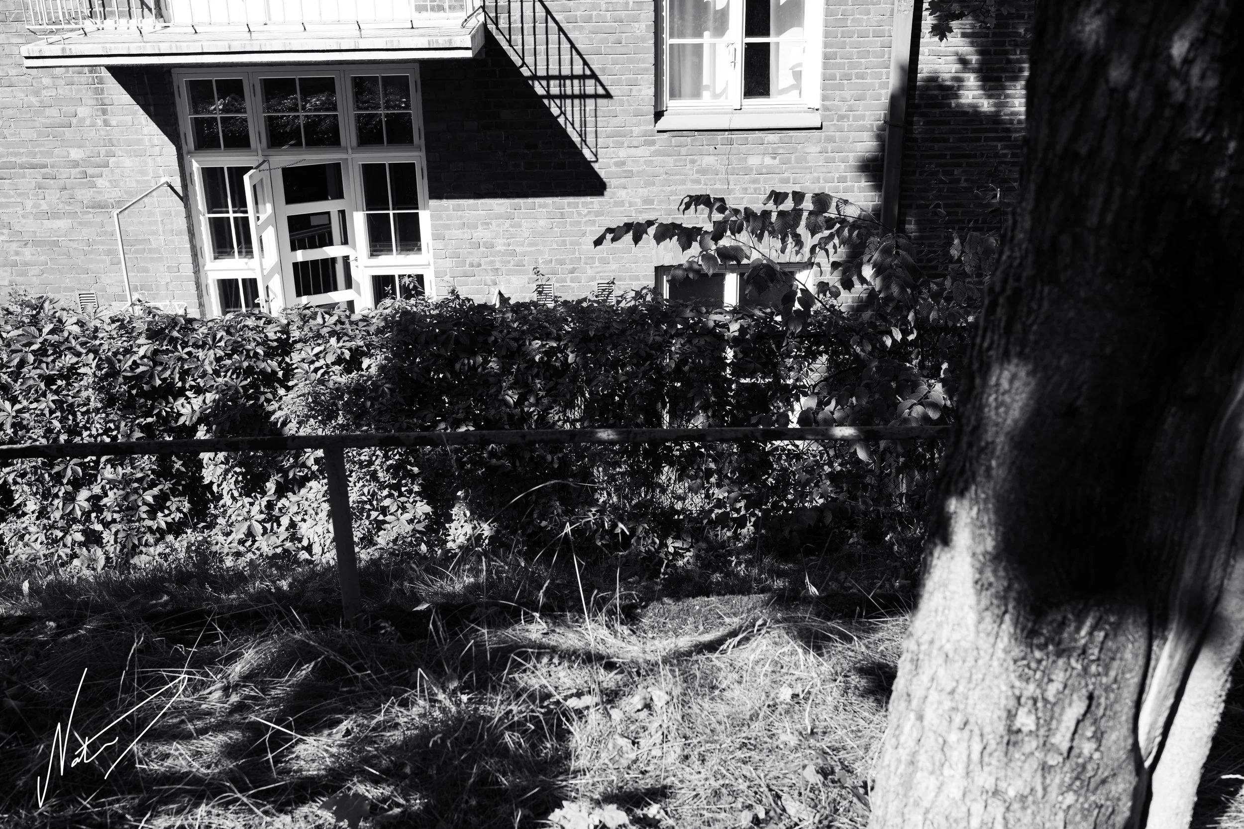 NAA_1678-4_72res.jpg