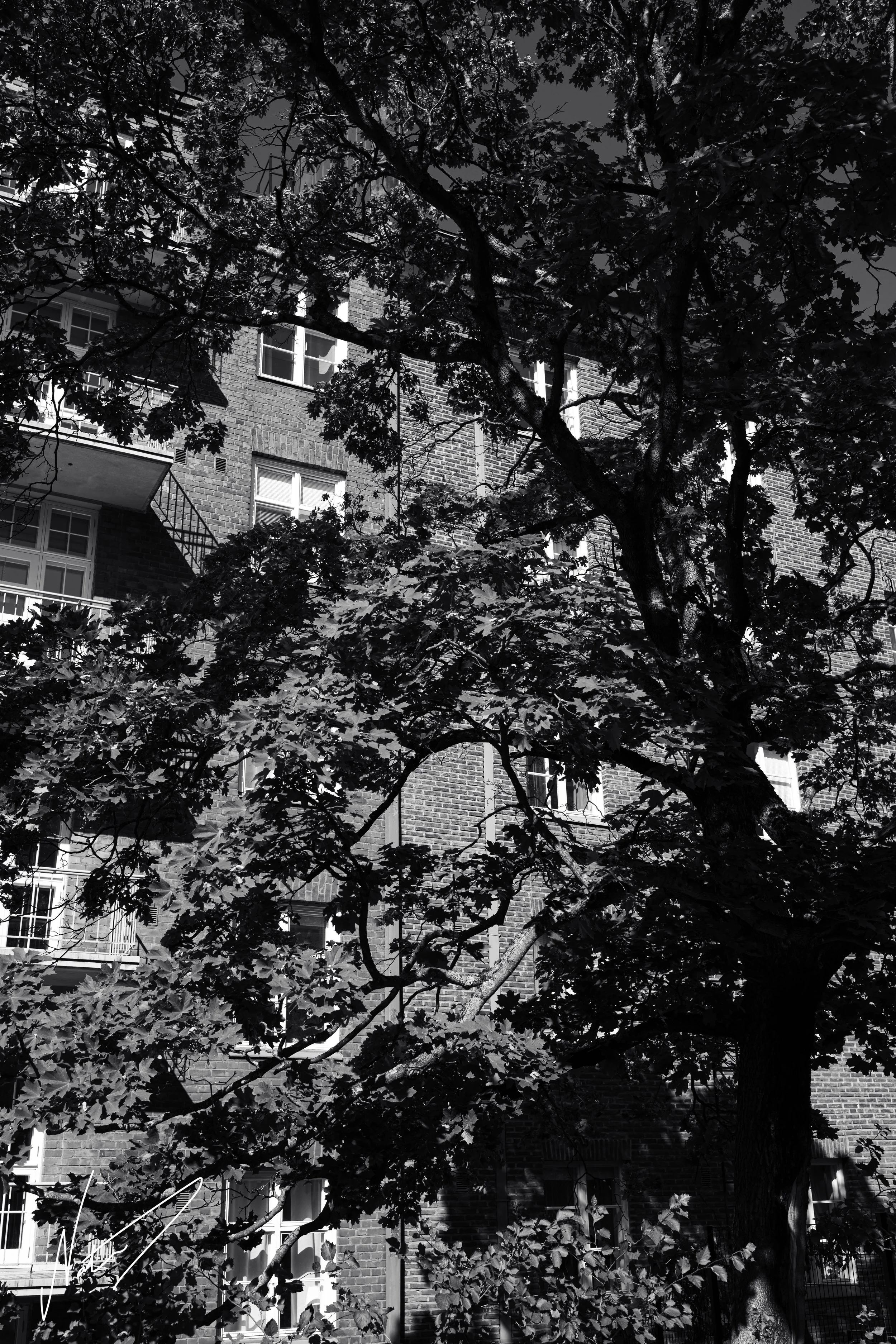NAA_1691-9_72res.jpg