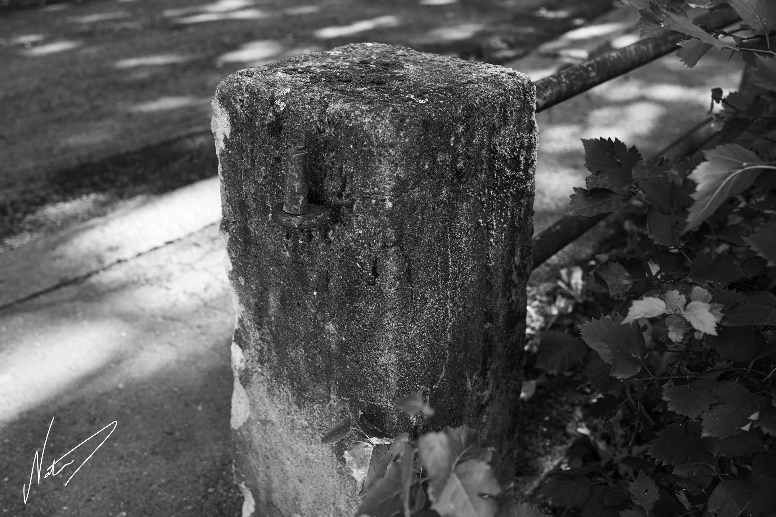 NAA_1742-25_72res.jpg