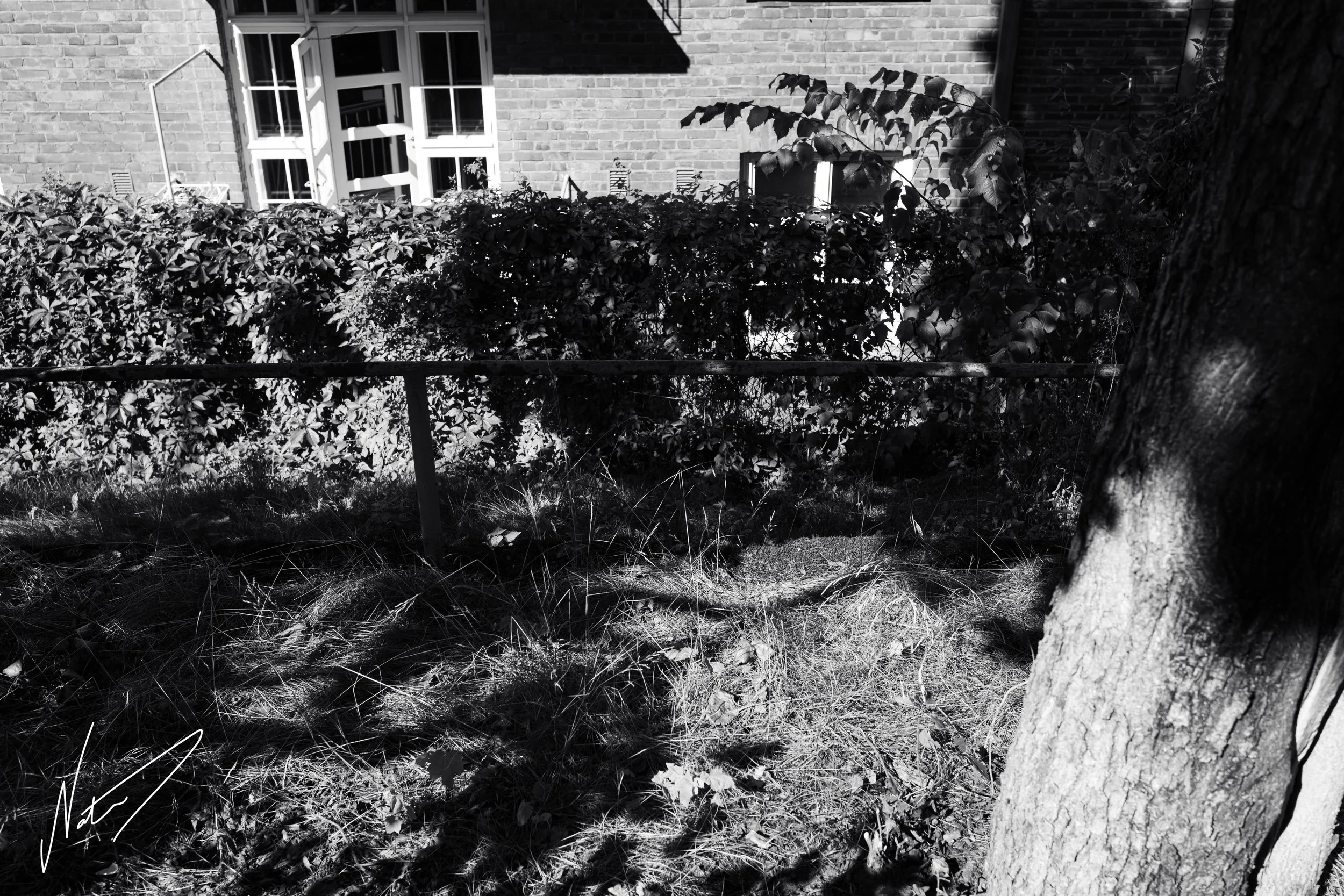 NAA_1680-5_72res.jpg
