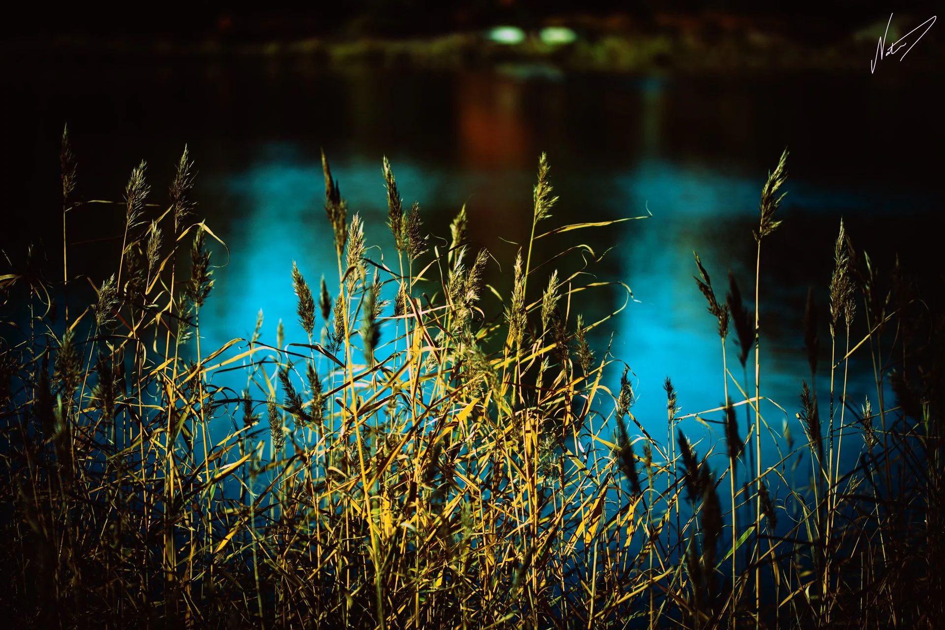 3L3A4484_1920pix_Creativefilter.jpg