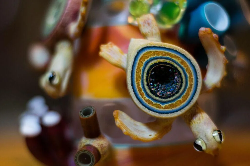 Turtle Geode Reef, Detail