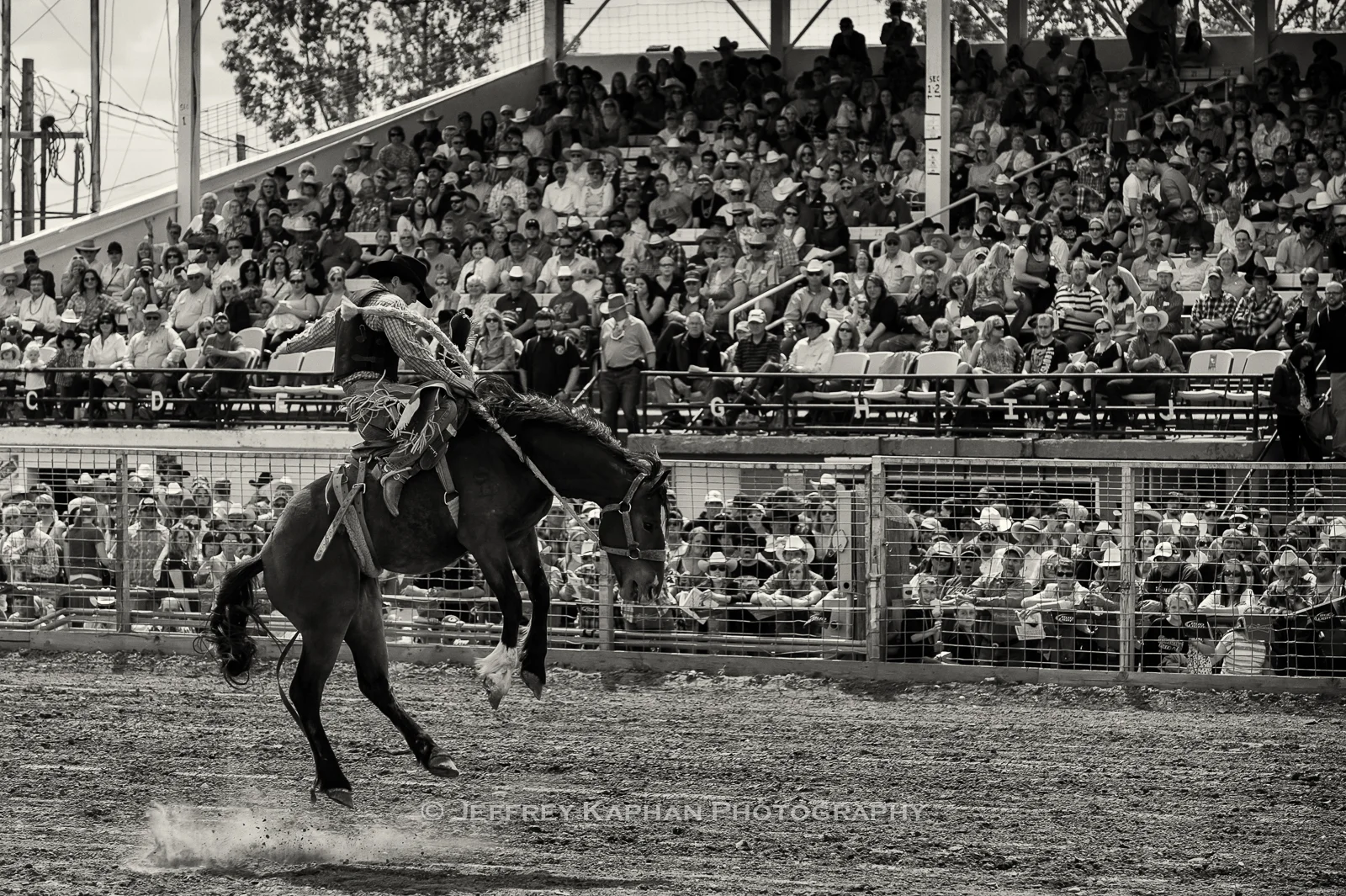 World Famous Bucking Horse Sale bronc rider