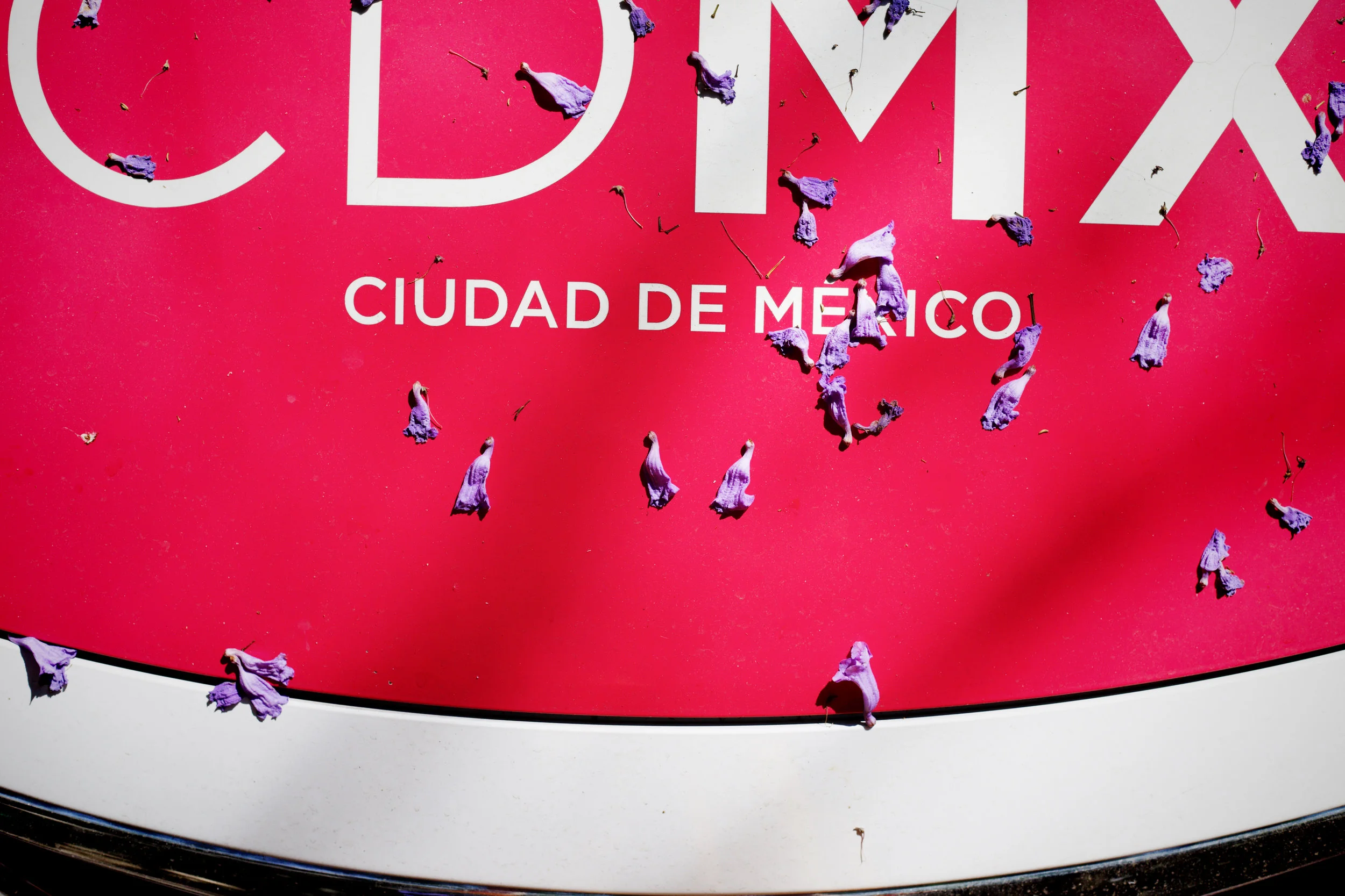 cdmx.jpg