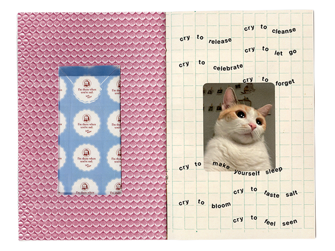 Zine_Shop_04.png