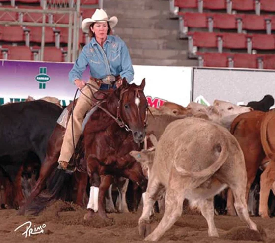 Photo by Performance Horse Digest