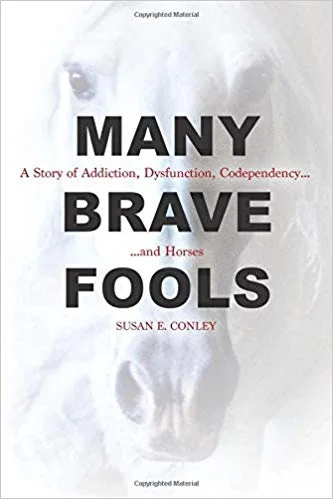 Many Brave Fools book cover.jpg