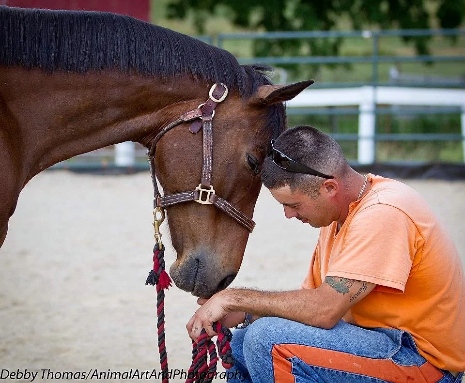 Photo courtesy Thoroughbred Retirement Foundation, by Debby Thomas Animal Art and Photography