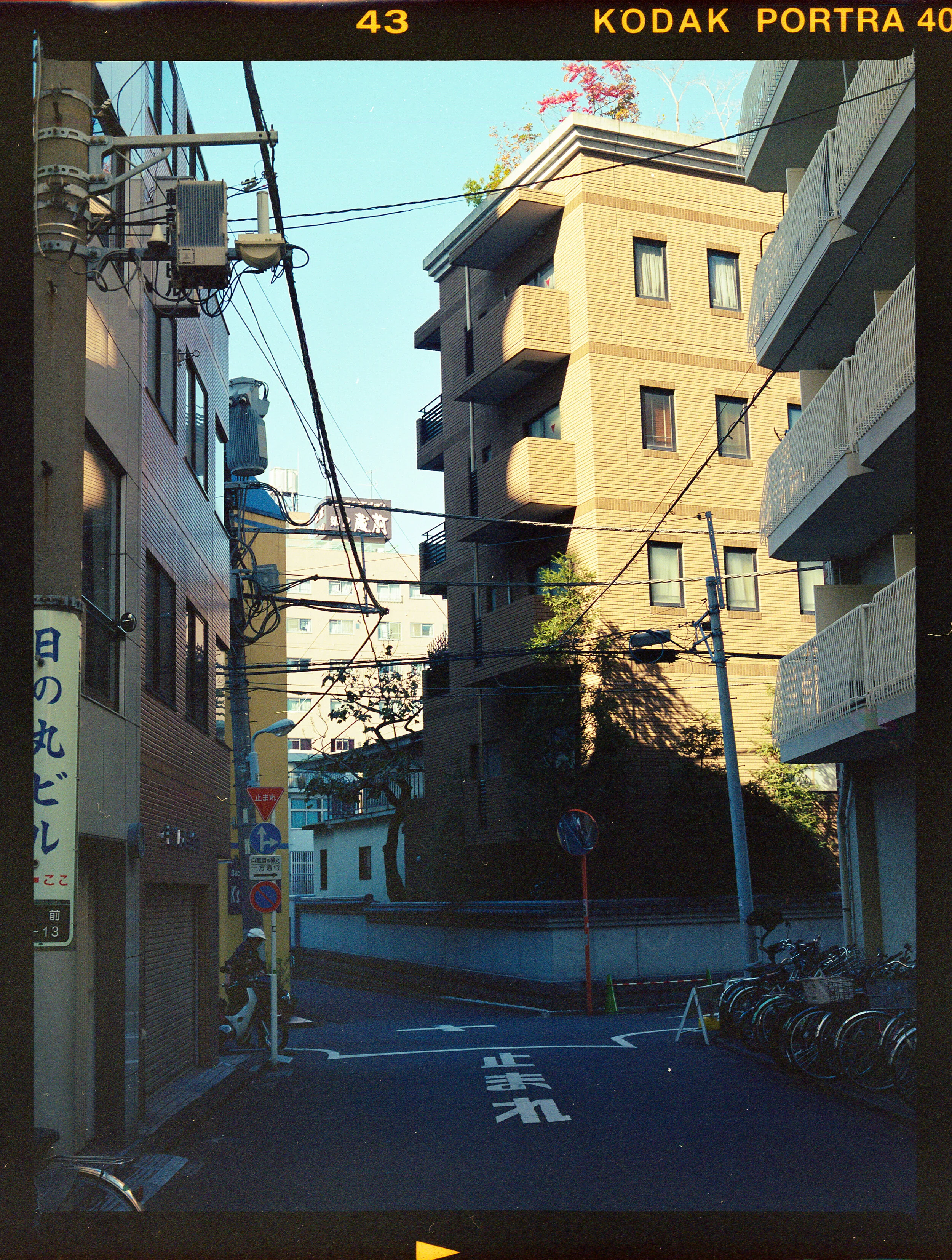 AJ020-2.jpg