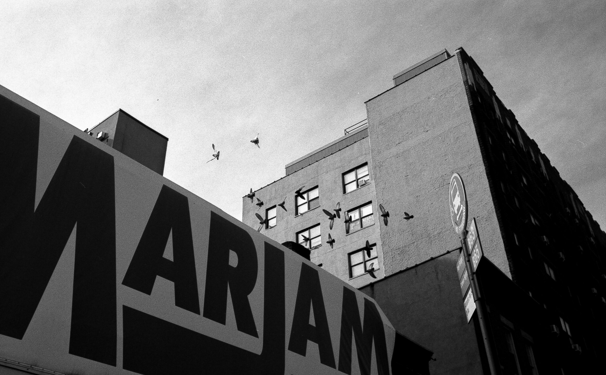 AJ 10009.JPG