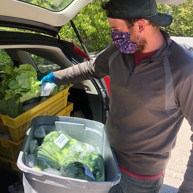 The awesome folks @alpinebutcher are all stocked up this weekend with fresh vegetables harvested right from the field and delivered to their store!! Loads of lettuce mix, spinach, Bok Choy, Tokyo Bekana cabbage, and beautiful chive bunches all for sa