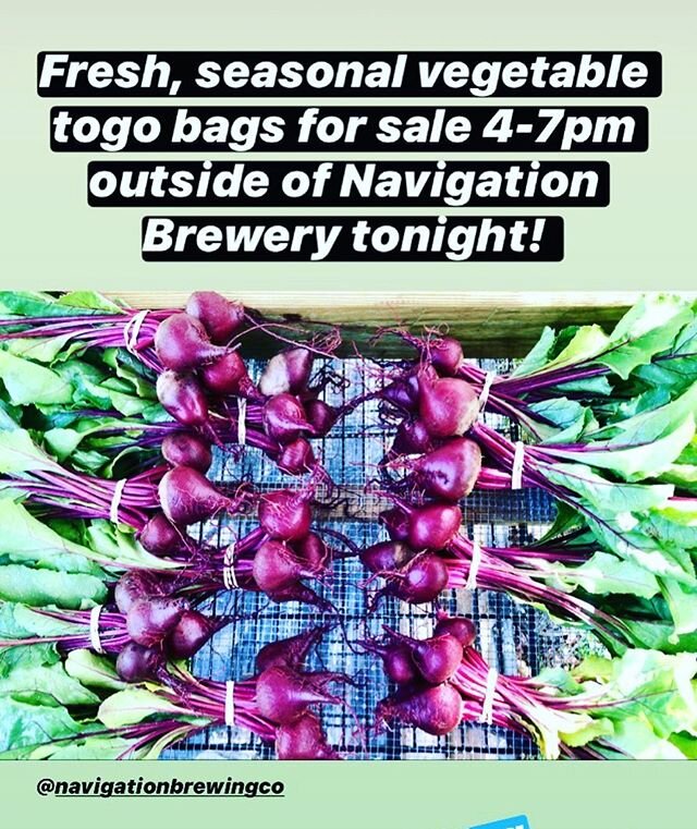 $30 bags of the freshest vegetables around for sale tonight @navigationbrewingco from 4-7pm!! DM or text (978) 551-2772 to reserve a bag, they go very quick!