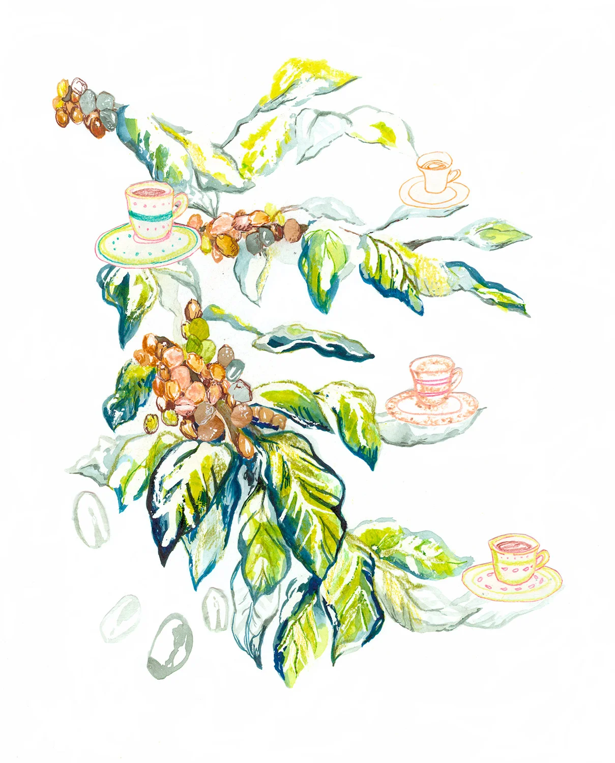 Coffee plant
