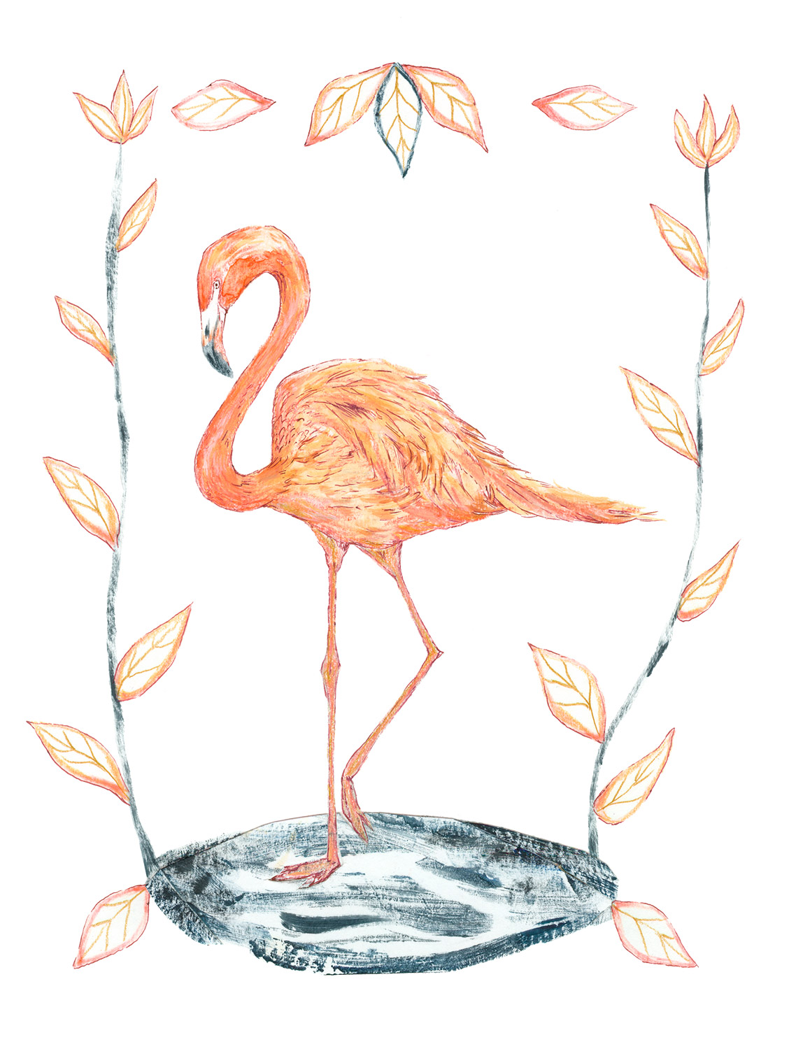 Flamingo bird illustration