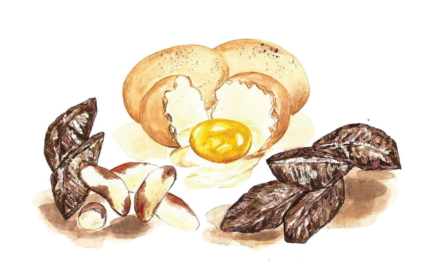 Editorial Food illustration for Women’s Health UK