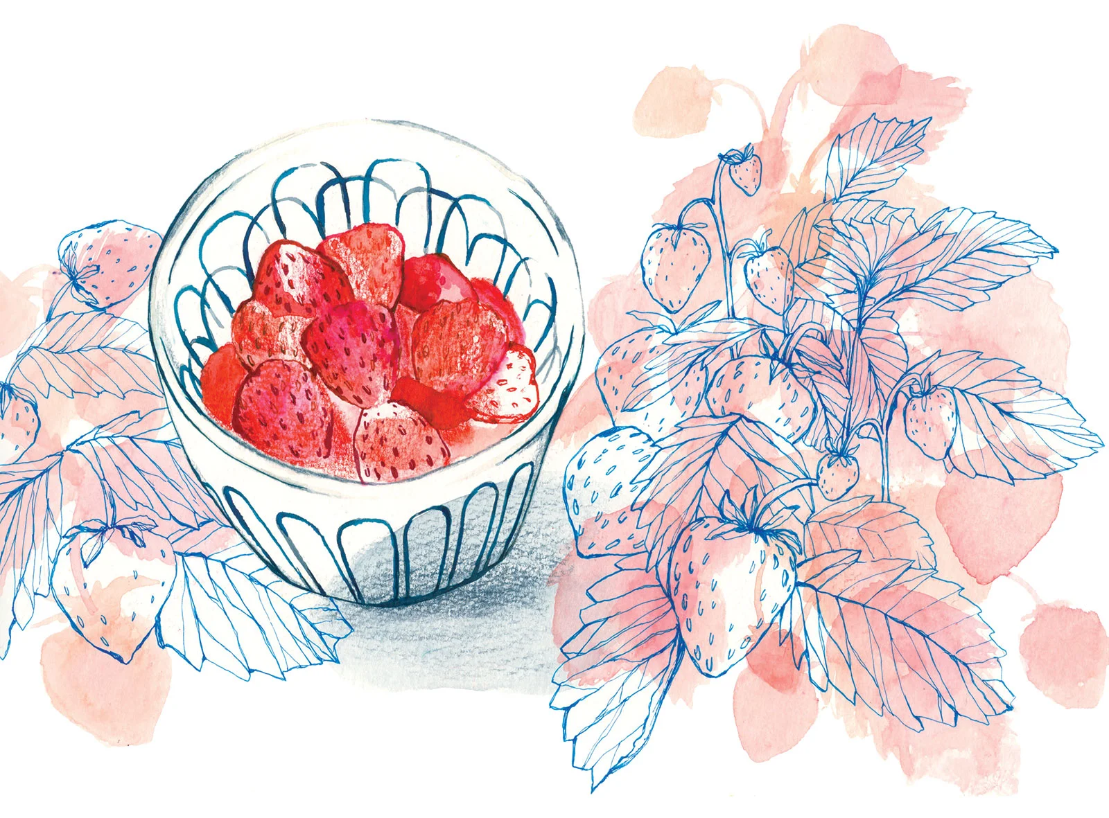 Strawberries in a bowl - Food illustration