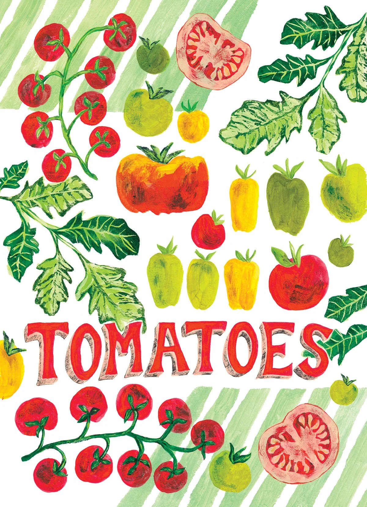Food illustration - Tomatoes