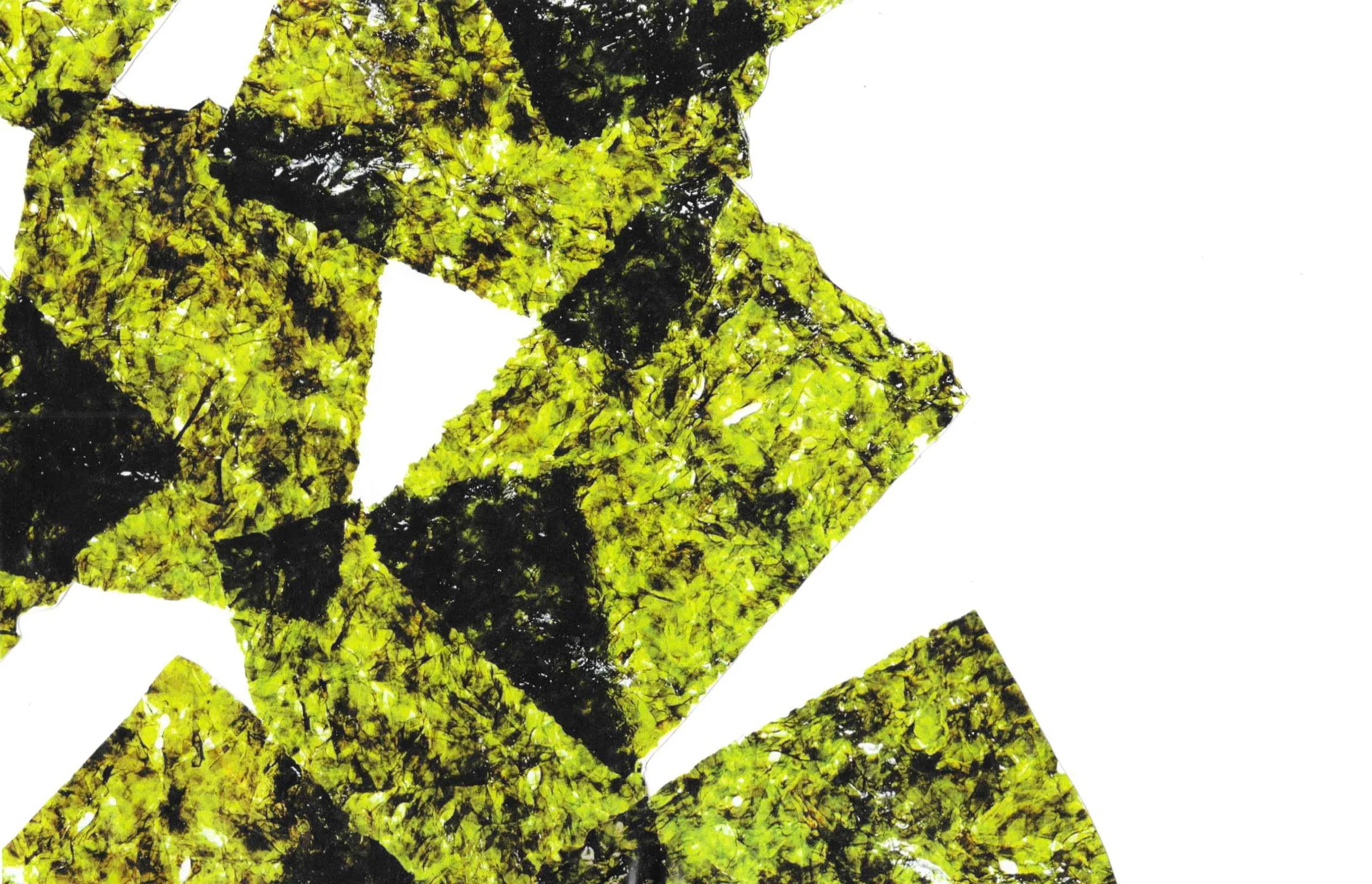 collage_seaweed.jpg
